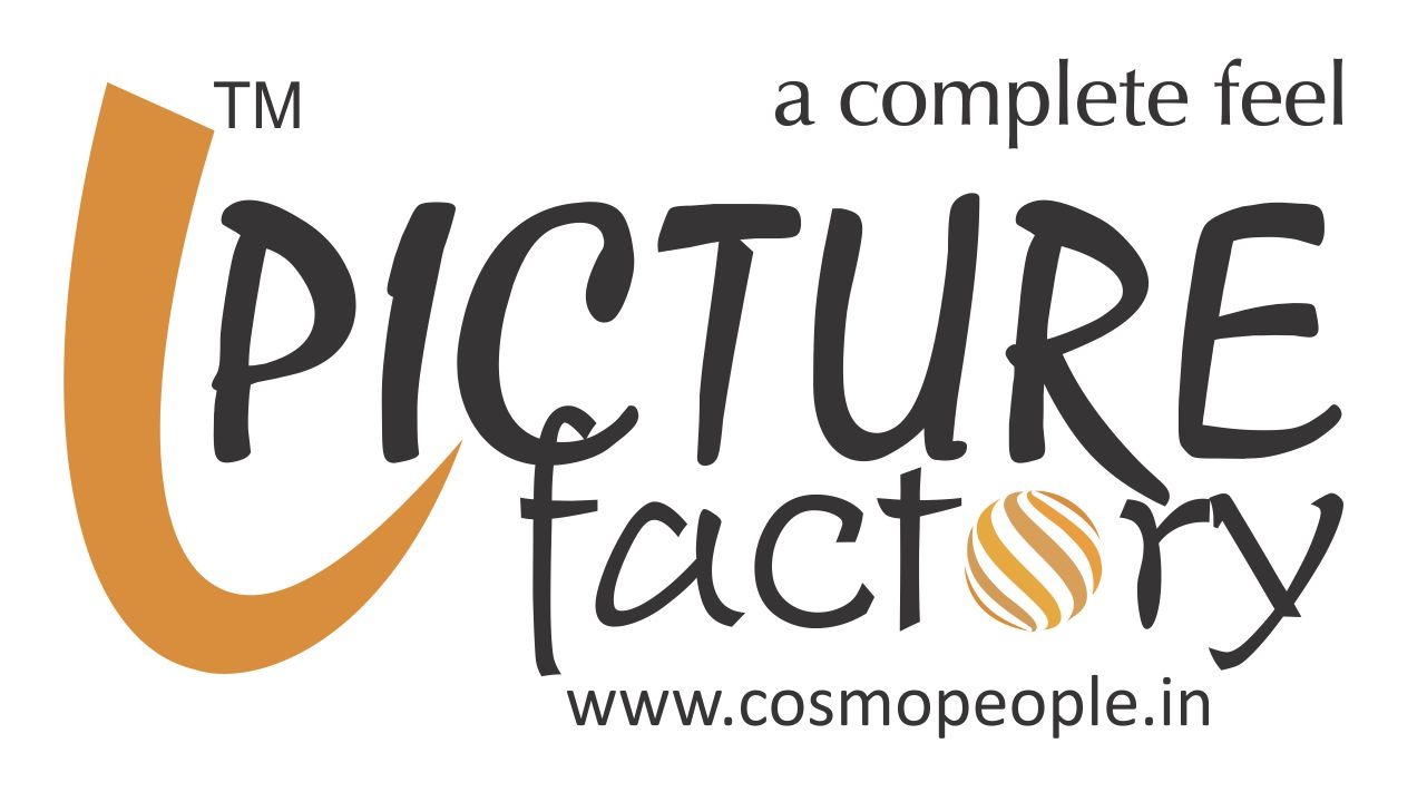 Picture Factory partner logo